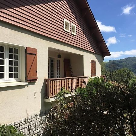 Grande Maison Confortable A Bagneres Екстериор снимка